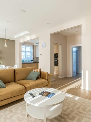 pexels-heyho-7546716